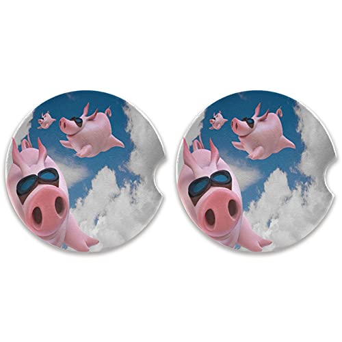 Skydive Flying Pig