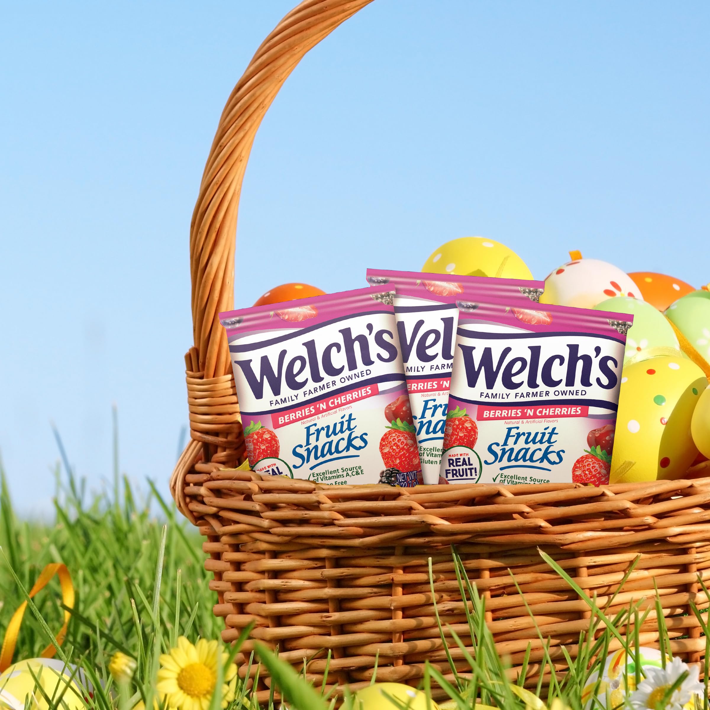Welch's Mixed Fruit Snacks - Berries 'N Cherries Flavor, 5oz (Pack of 12) | Bulk Healthy Snacks for Kids Lunch Box, School, Office & Road Trips | Gluten Free, No Artificial Flavors