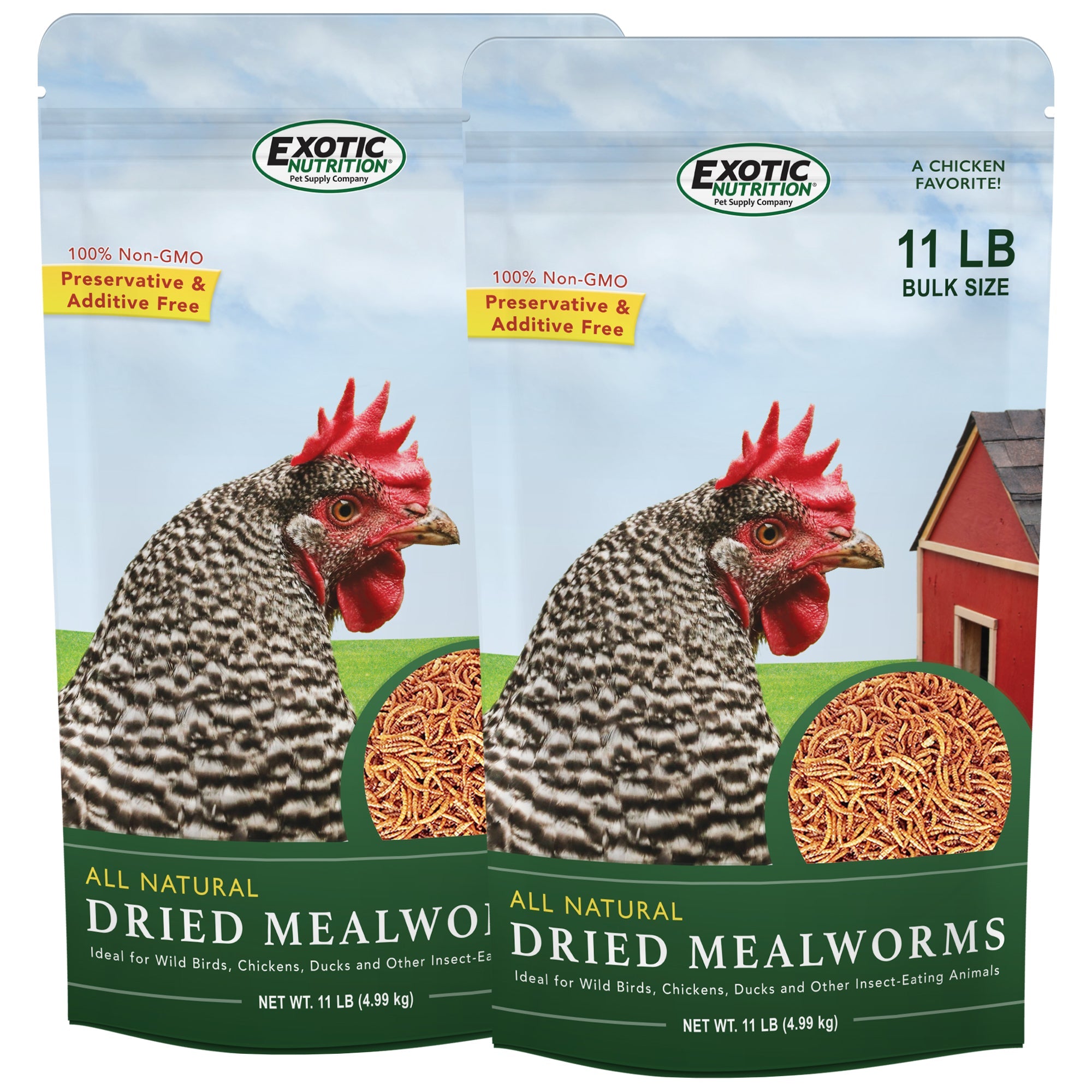 Premium Dried Mealworms Bulk - High Protein Natural Bird & Chicken Feed - Perfect for Wild Birds, Poultry, Reptiles & Fishing Bait