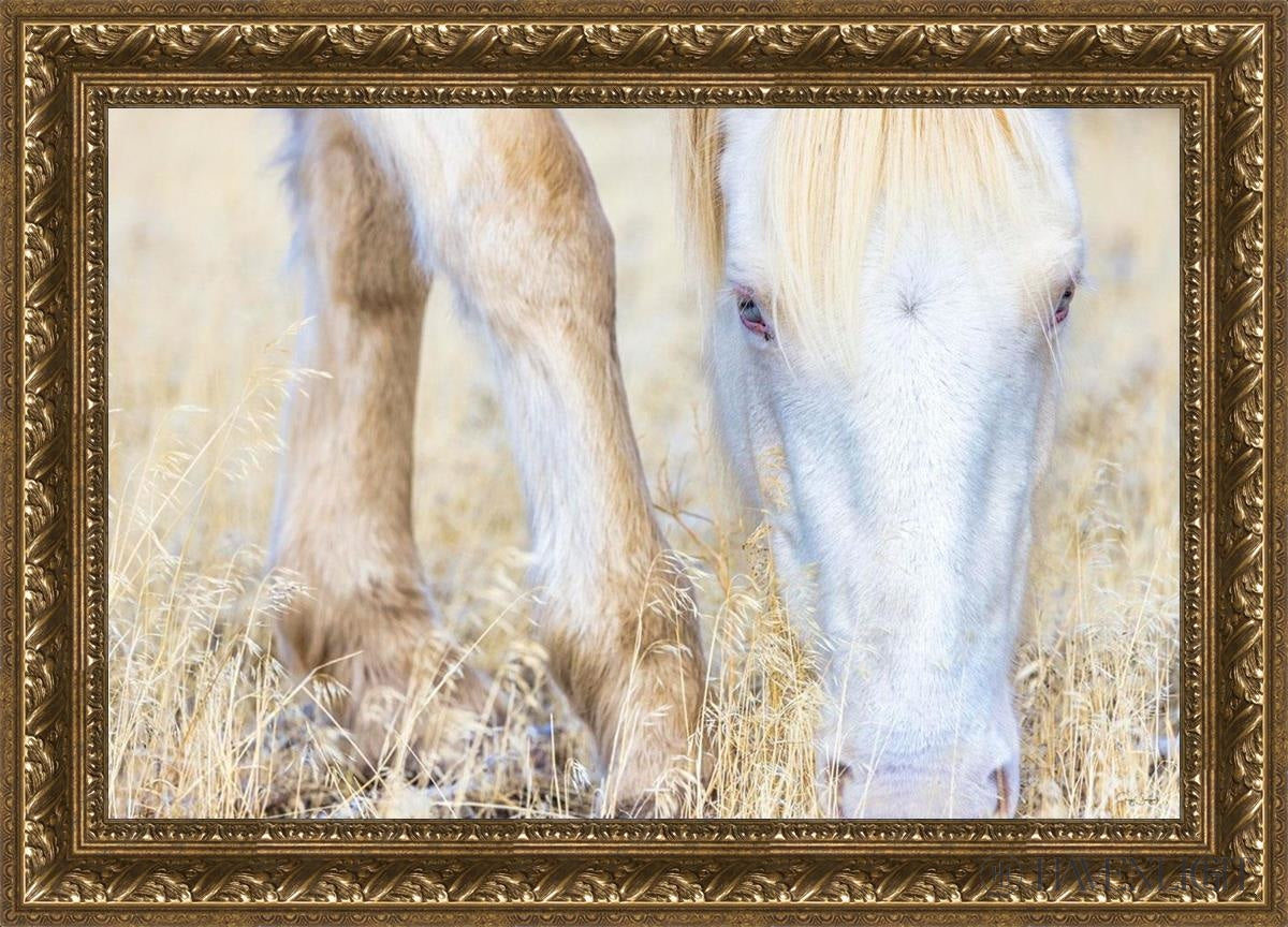 Dry Grass by Greg Sargent - Premium Handcrafted Home Decor for Rustic & Farmhouse Style - Perfect for Wall Art, Shelf Displays & Cozy Living Room Decor