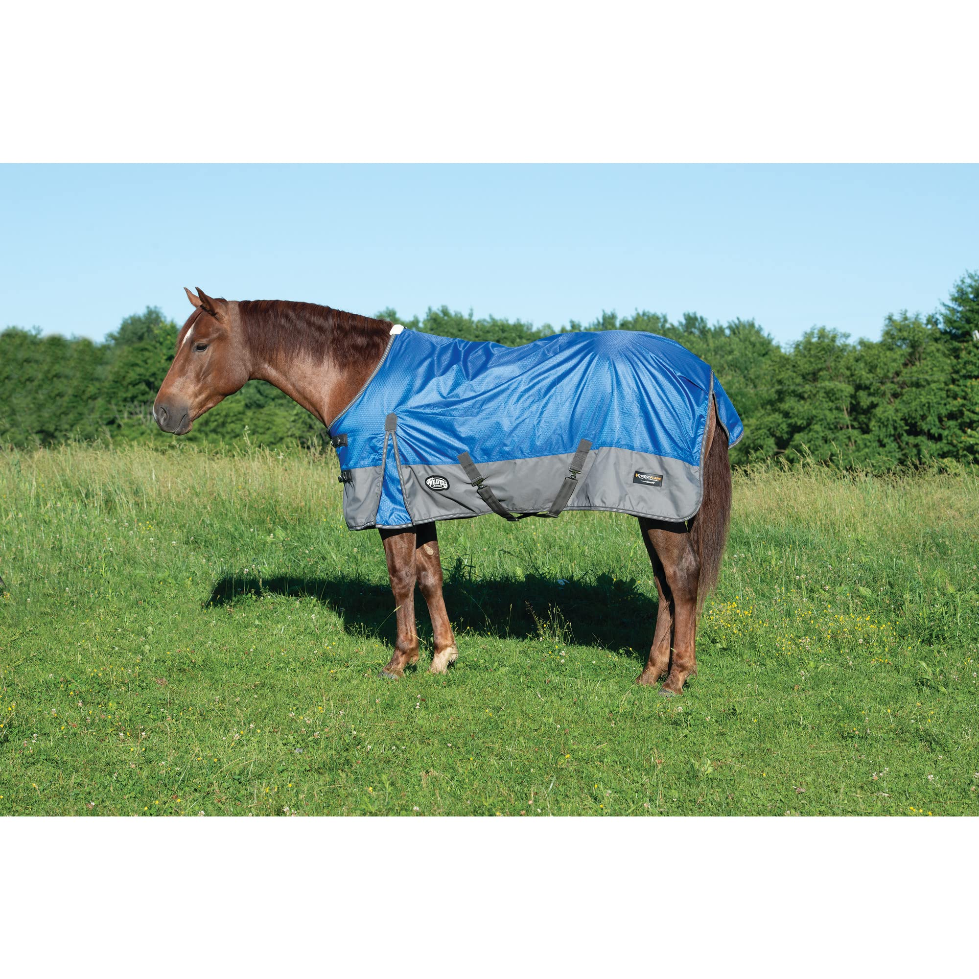 Weaver Leather CoolAid® Horse Cooling Blanket for Hot Weather - Breathable & Lightweight Summer Horse Blanket for Training, Riding, and Show Prep