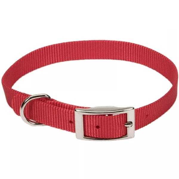 Premium Coastal Single Ply Dog Collar - Durable & Comfortable Pet Collar for Small to Medium Dogs - Perfect for Beach Walks & Outdoor Adventures