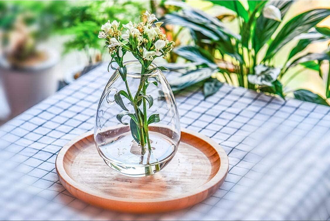 Kingbuy Wall Mount Glass Planter - 2 Egg Shape Terrariums & 4 Square Vases for Hydroponic Plants, Succulents, Air Plants | Home Office Garden Decor, Indoor Plant Propagation Station, Modern Wall Hanging Display for Living Room, Kitchen, Balcony