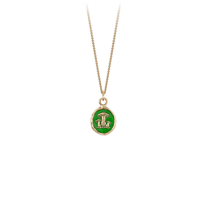 14K Gold Earthy Appreciation Talisman Pendant - True Colors for Spiritual Protection & Positive Energy - Perfect for Meditation, Gifting & Everyday Wear