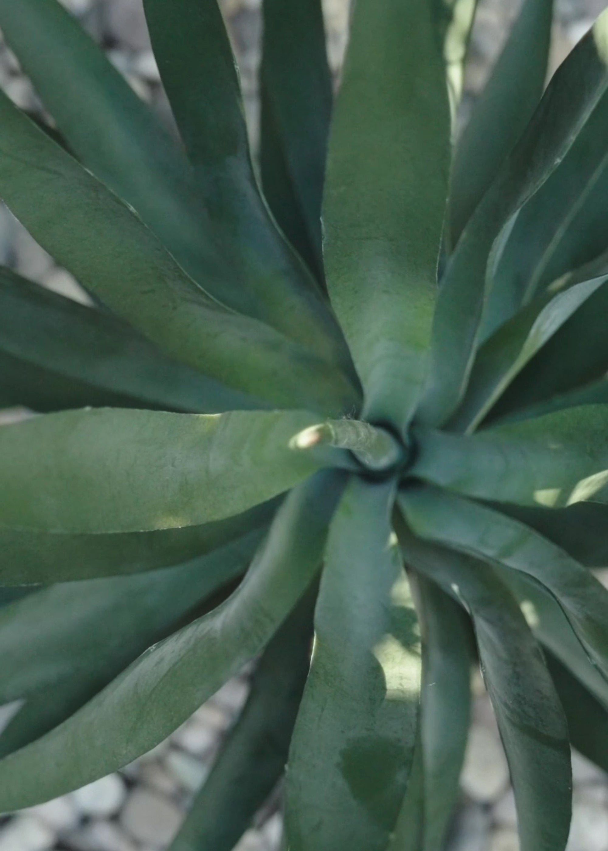 Premium UV Resistant Artificial Outdoor Yucca Plant - 27