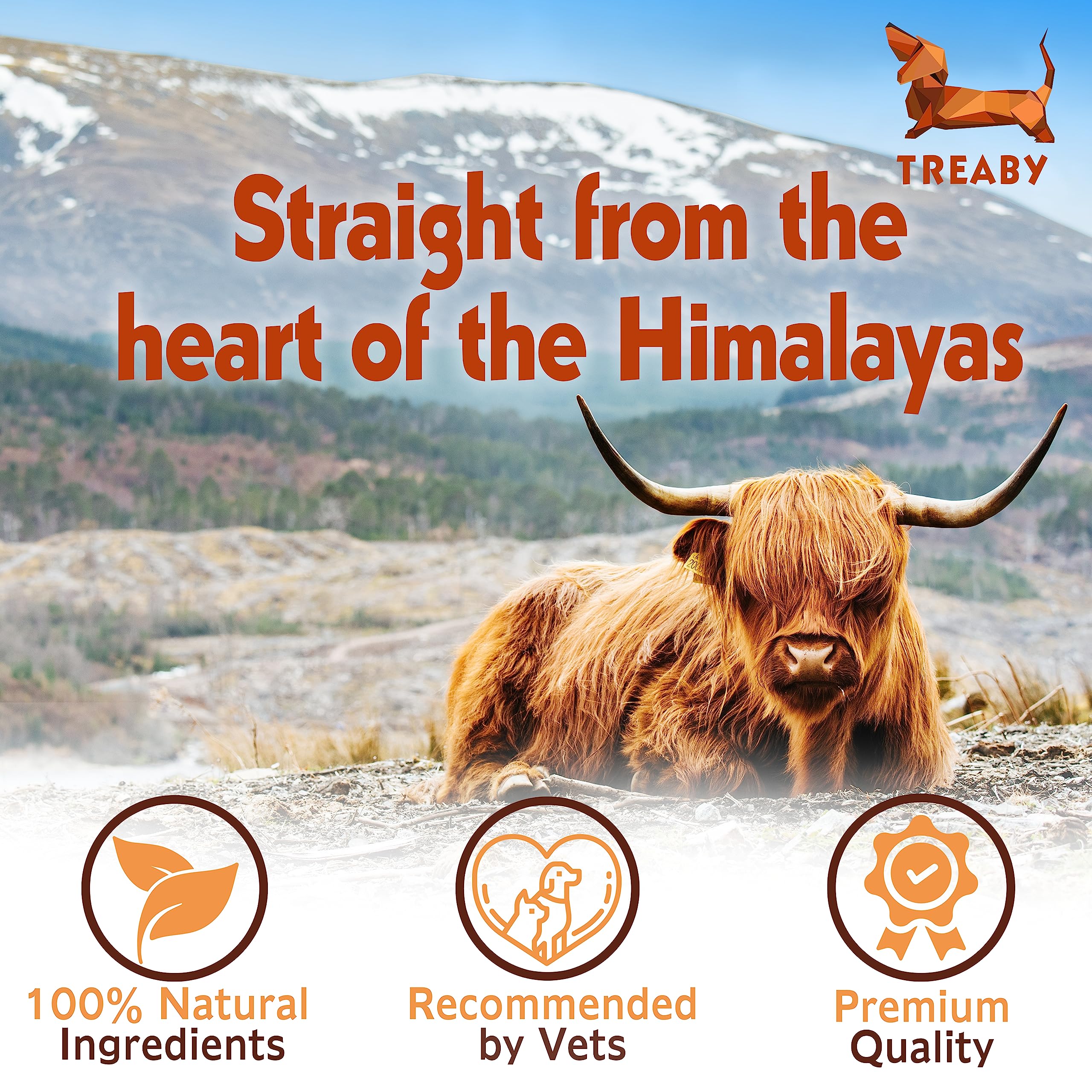 Treaby Himalayan Yak Chews for Dogs & Puppies - Natural Yak Milk Dental Sticks for Teeth Cleaning & Bone Health - Long Lasting Dog Treats for Aggressive Chewers - Perfect for Training, Teething & Dental Care