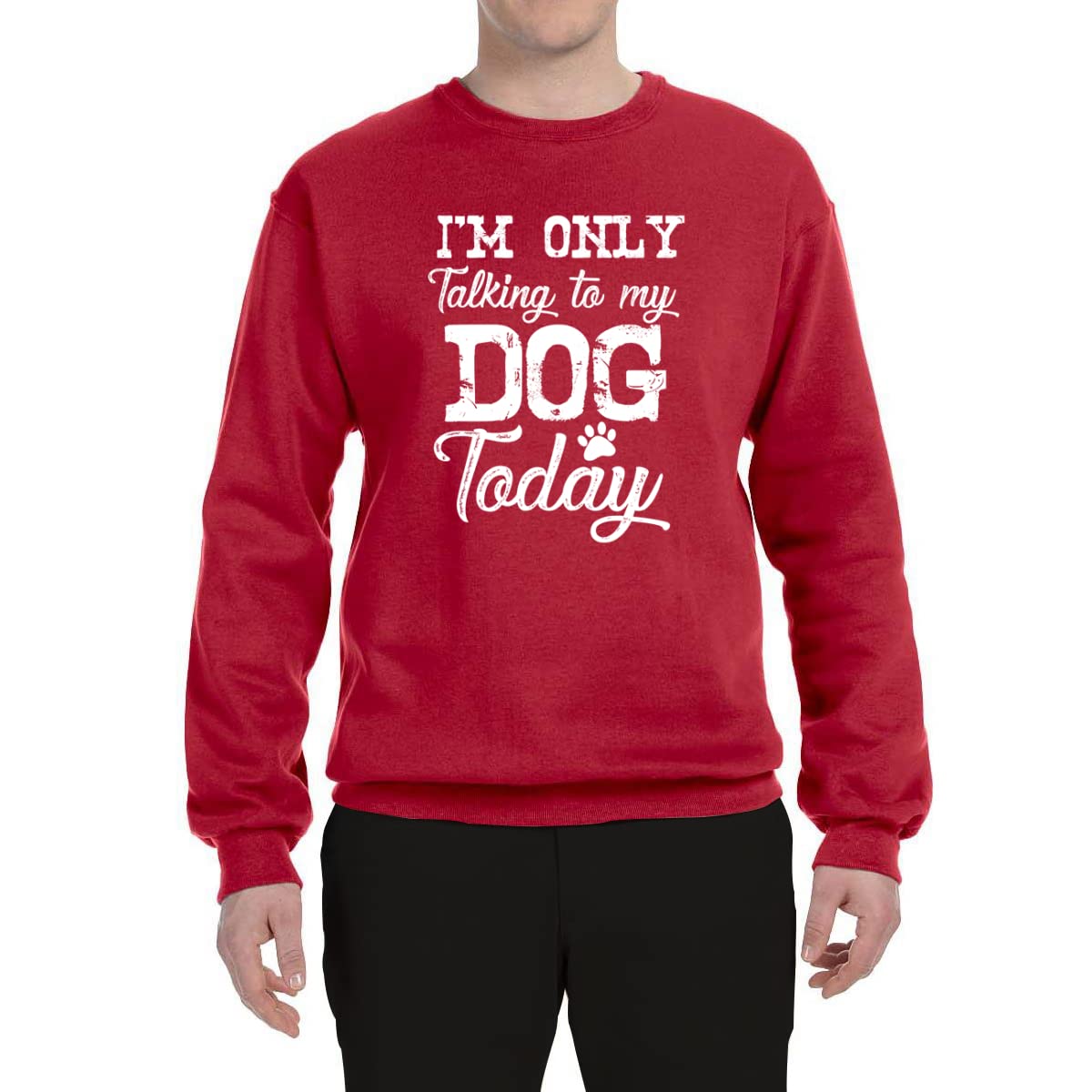 Wild Bobby 'I'm Only Talking to My Dog Today' Dog Lover Graphic Sweatshirt - Unisex Crewneck Pullover for Pet Owners, Casual Wear & Dog Park Outfits