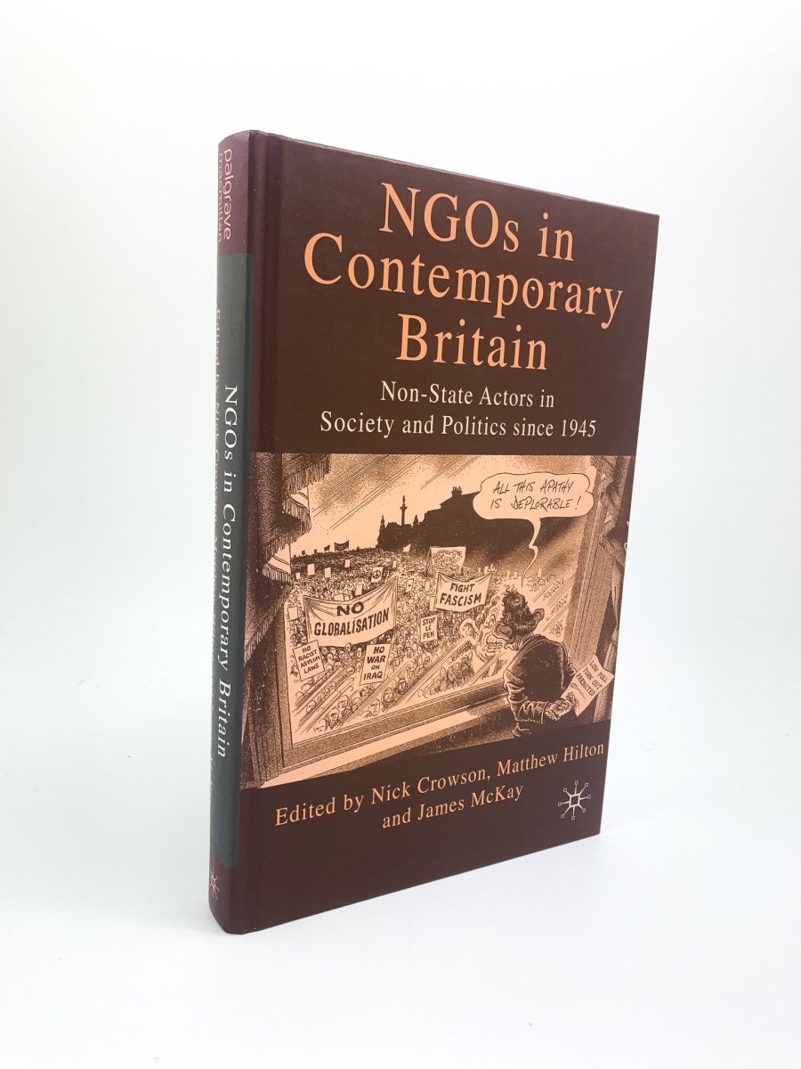 NGOs in Contemporary Britain by Nick Crowson & Hilton | Non-Governmental Organizations in UK Society | Essential Reading for Policy Makers & Social Researchers