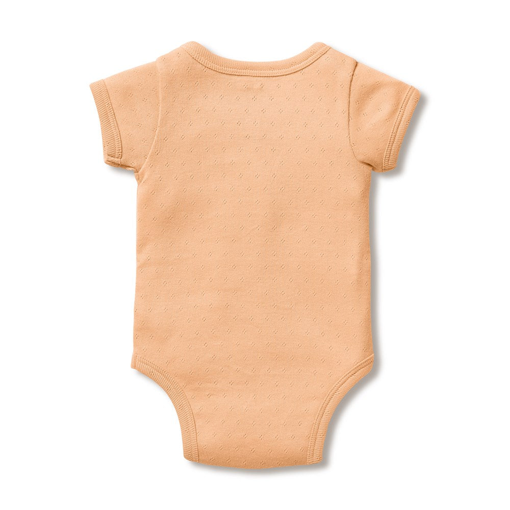 Organic Pointelle Kimono Bodysuit - Soft Breathable Baby Onesie for Newborns & Infants | Perfect for Nursery, Playtime & Photo Shoots