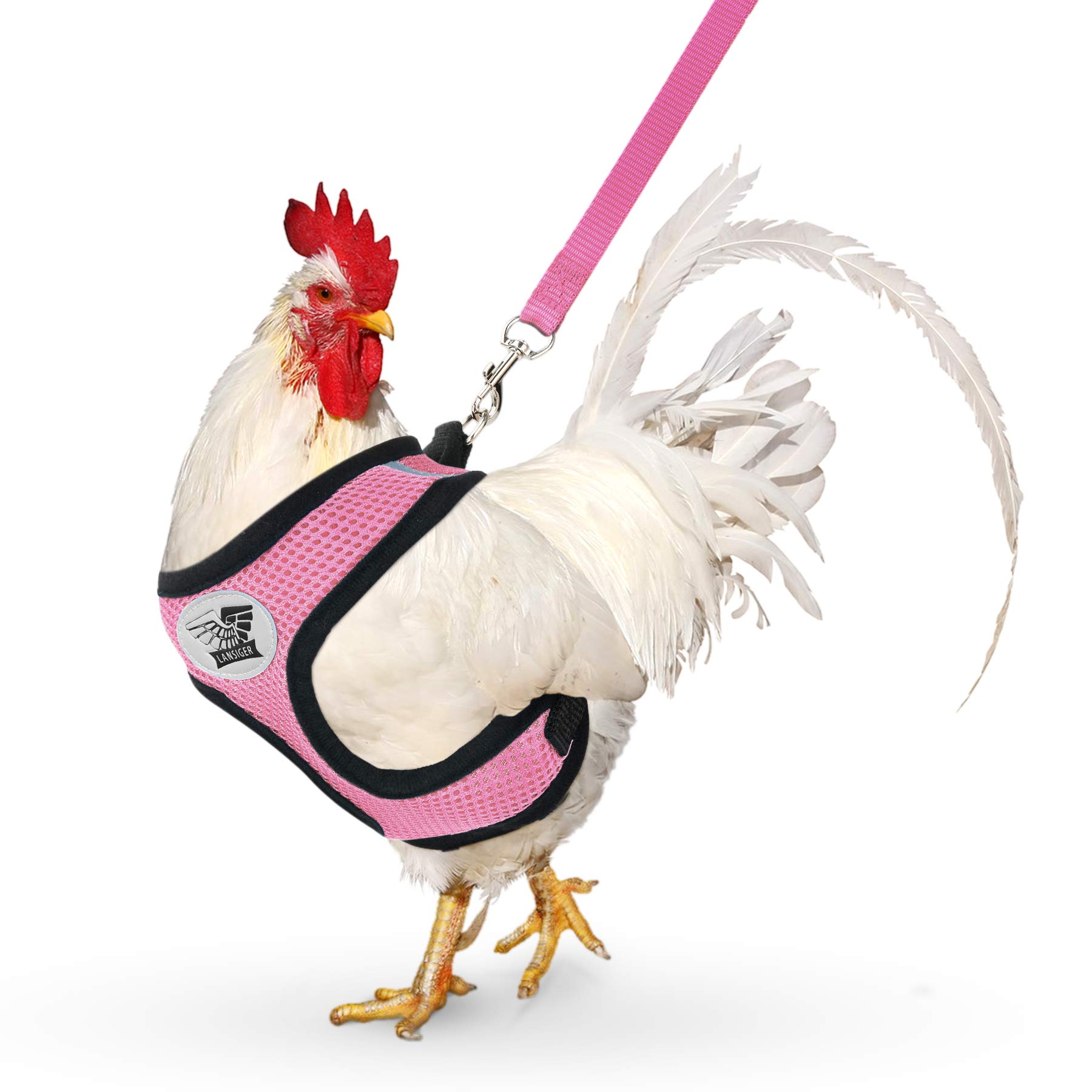 Adjustable Chicken Harness with Leash - Small Pet Harness for Ducks, Geese & Hens - Training & Walking Safety Gear - Perfect for Backyard Poultry, Farm Animals & Outdoor Adventures