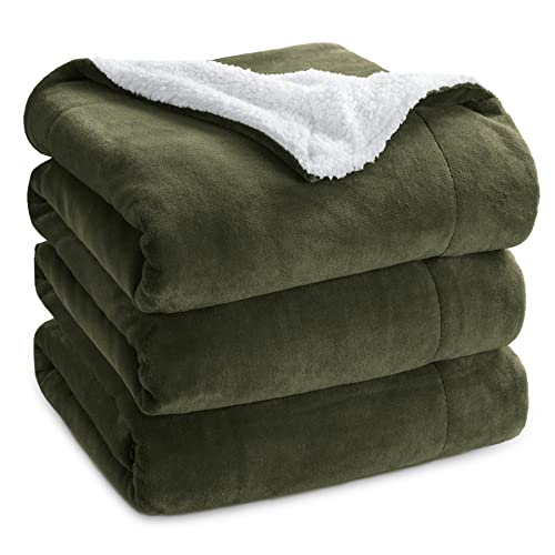 04 - Olive Green