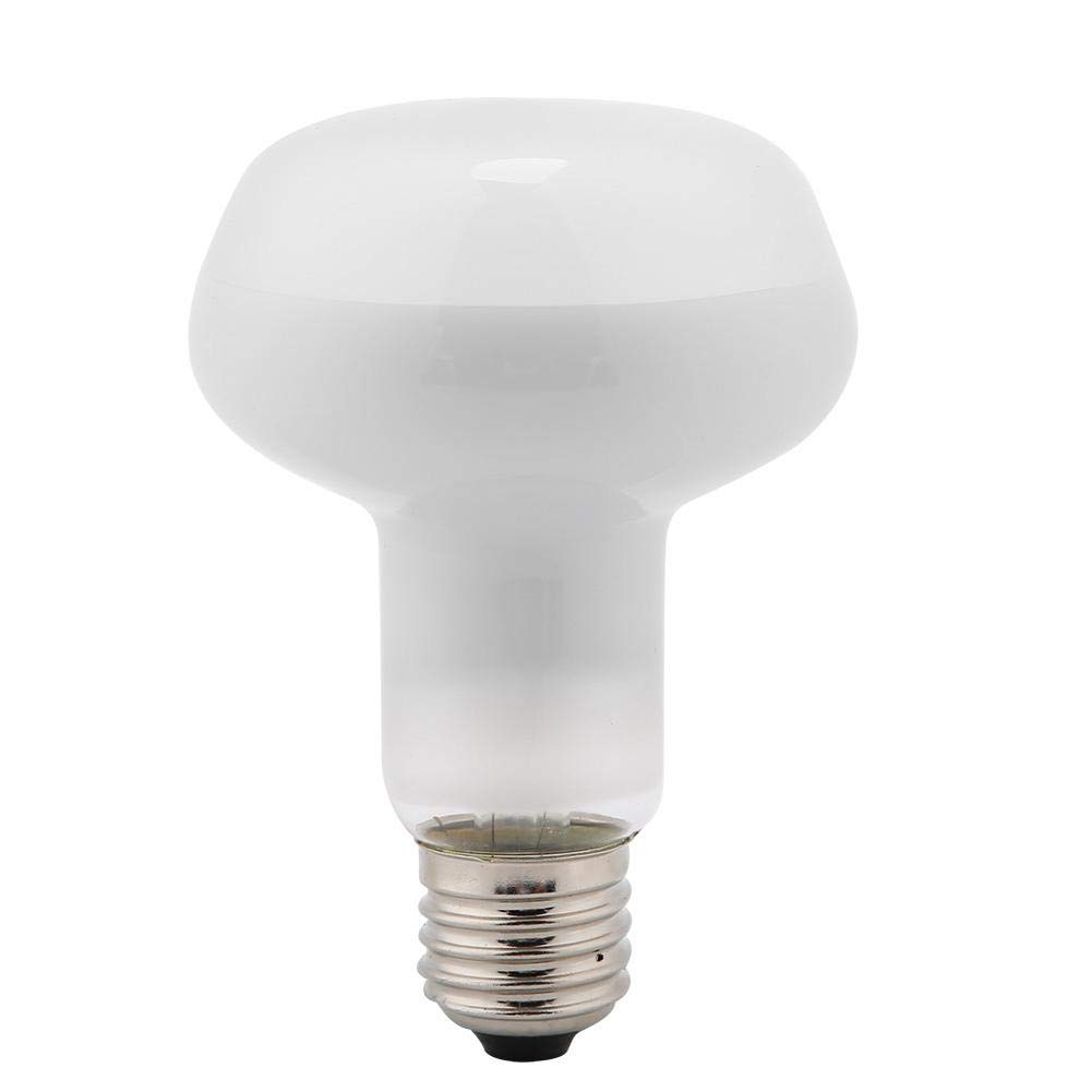 75W Reptile Heat Lamp Bulb with E27 Base - Terrarium & Aquarium Heating Light for Amphibious Pets - Ideal for Lizards, Turtles, Frogs & Snakes in Glass Enclosures