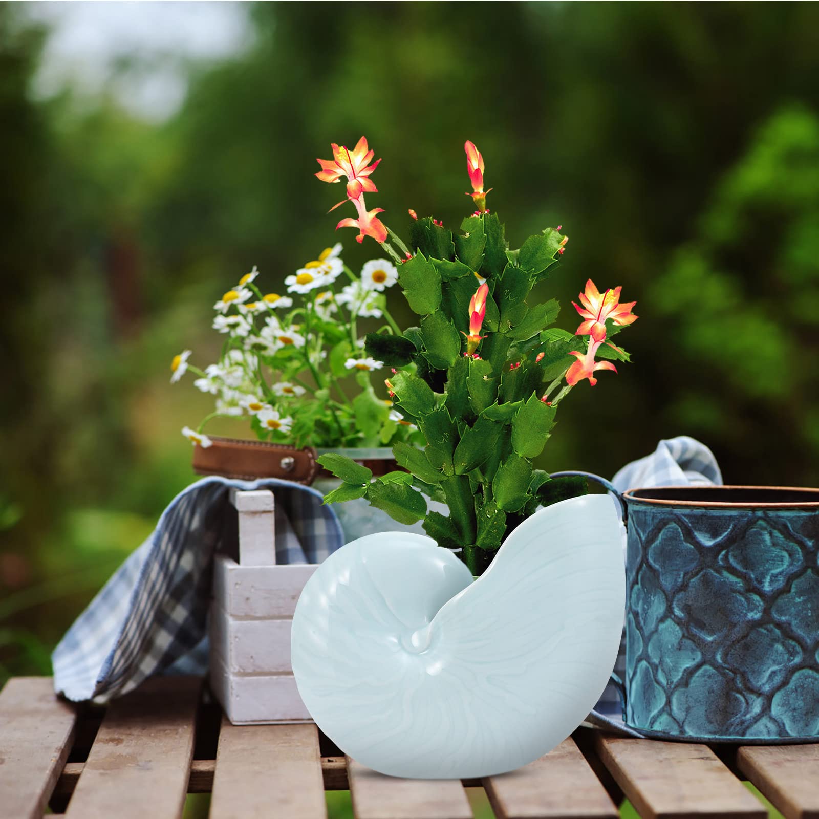 BESPORTBLE 1pc Ceramic Conch Planter Pot - Elegant Outdoor Flower Pot for Gardening, Hydroponics, Bonsai & Home Decor - Perfect for Patio, Balcony and Indoor Plants