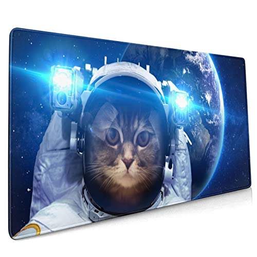 Space Cat