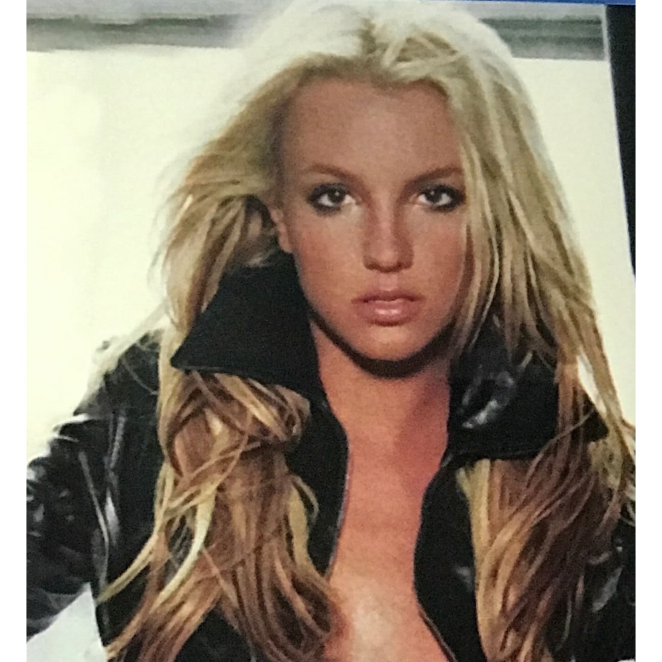 Britney Spears In The Zone 2x Platinum LP Award - Certified RIAA Multi-Platinum Record - Perfect for Music Collectors & Britney Spears Fans Display