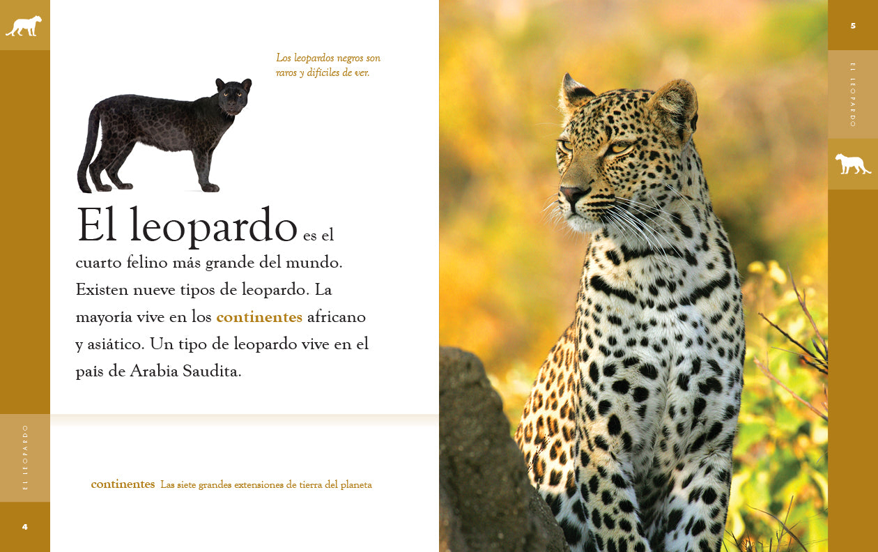 El Leopardo 9781640266766 - Wild Animal Book for Kids, Spanish Learning & Wildlife Education - Perfect for Classroom, Homeschooling & Nature Enthusiasts