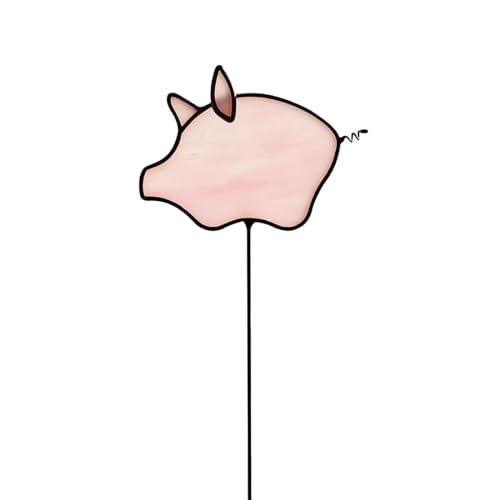 Pig H