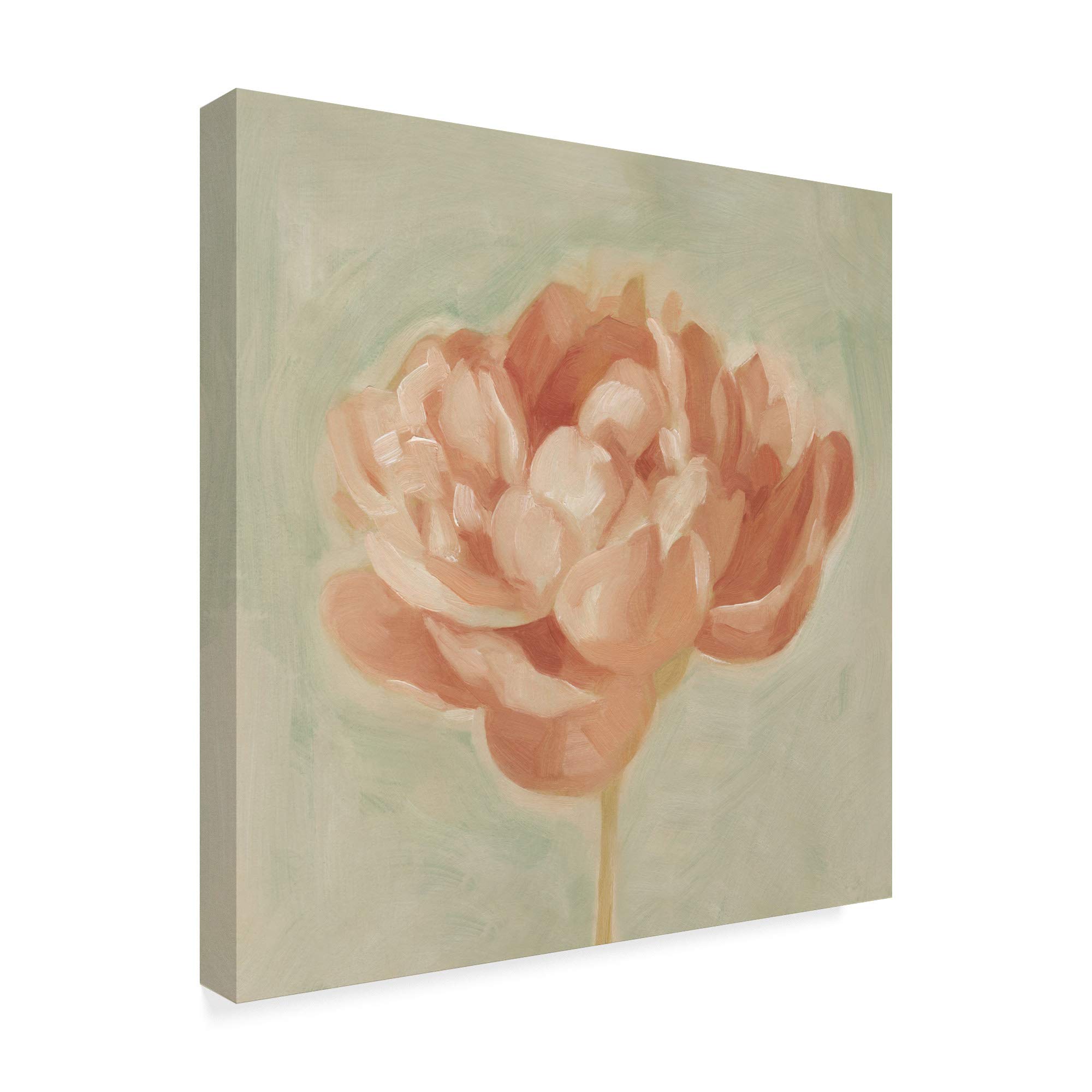 Emma Scarvey Spring Peony I Floral Art Print - 14x14 Inch Framed Wall Decor for Living Room, Bedroom & Office
