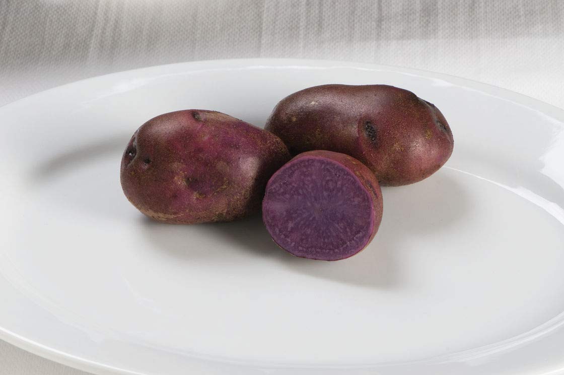 2 Lbs Adirondack Blue Seed Potatoes - Non-GMO Certified, USA Grown Potato Tubers for Planting - Perfect for Home Gardens, Organic Farming & Sustainable Agriculture