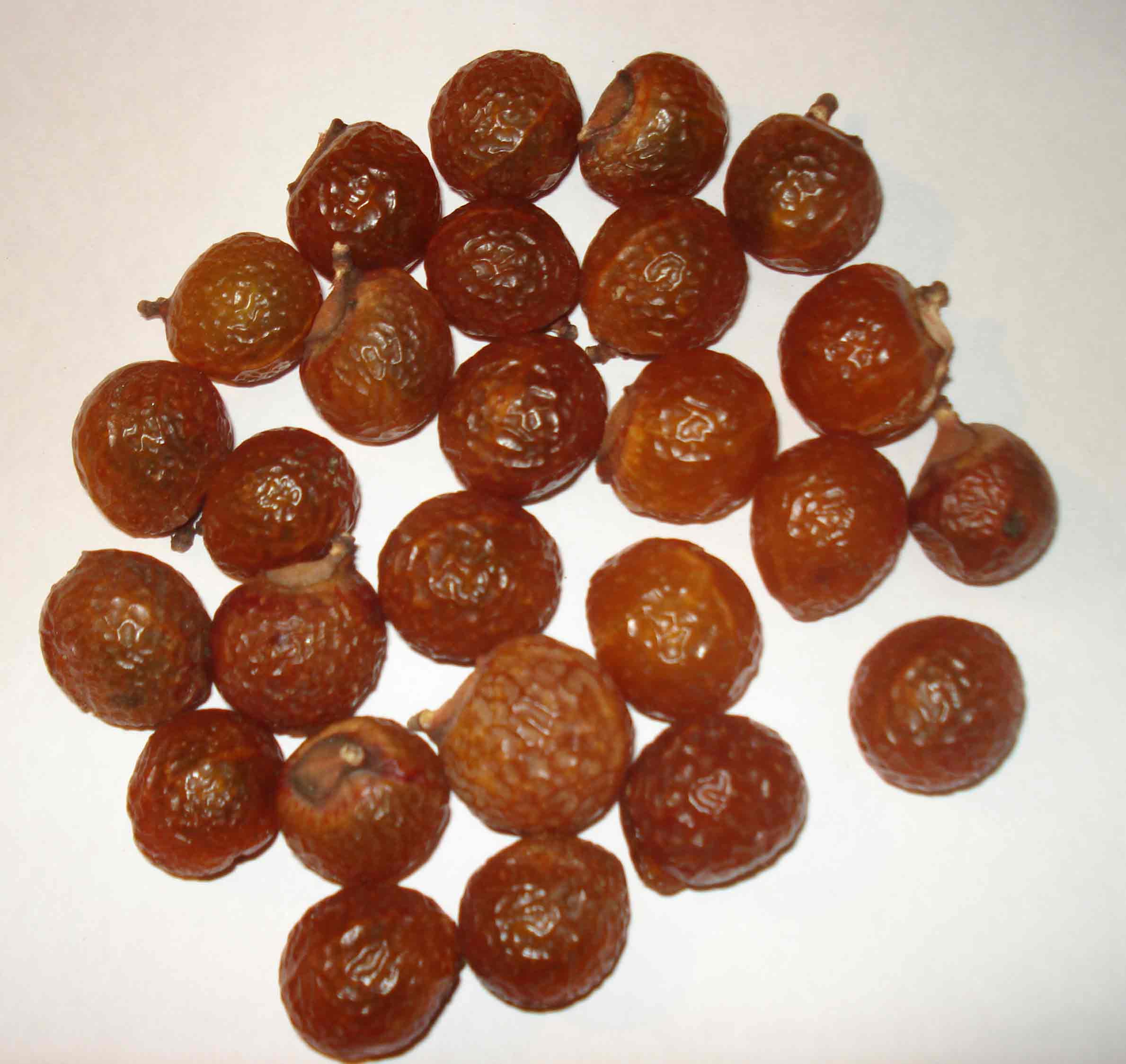 Organic Reetha Soapnuts 500g Jar - Natural Hair Care with Seeds - Aritha, Areetha for Shine & Growth - Perfect for DIY Shampoo & Scalp Treatment