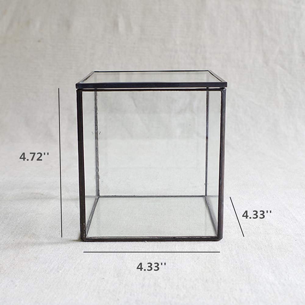 Square Glass Terrarium with Lid - 4.3x4.3x4.7 Inch Small Indoor Plant Box for Succulents, Moss & Air Plants - Handmade Geometric Tabletop Planter in Black - Perfect for Home Decor, Office Desk & Gift Ideas