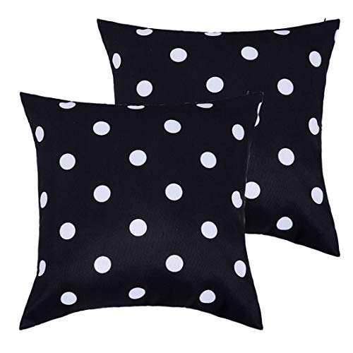 Black Polka Dot