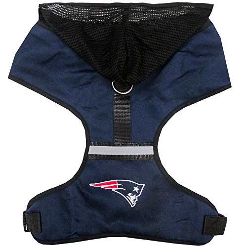 New England Patriots