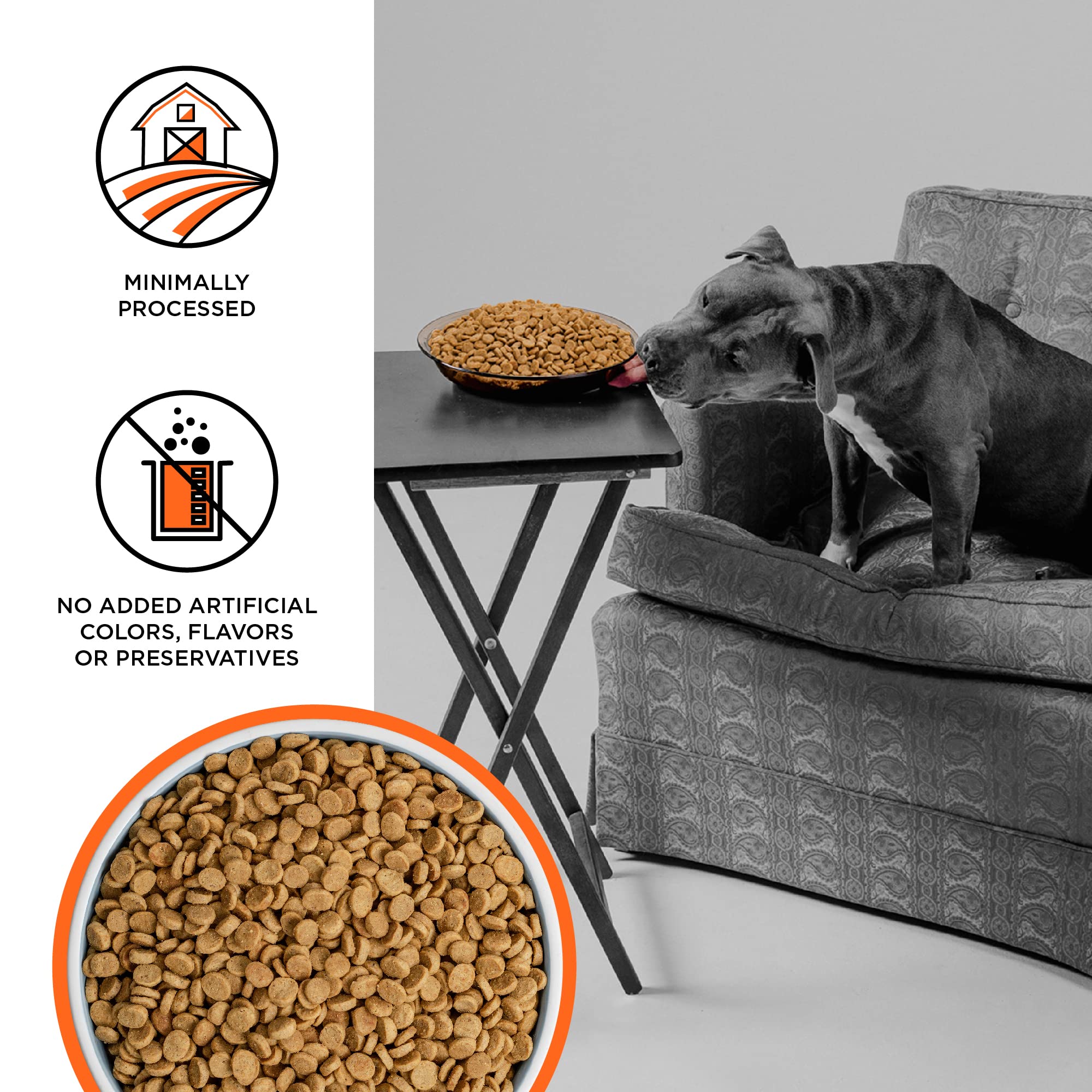 BIXBI Liberty Grain Free Dry Dog Food - Chicken Recipe, 11 lbs | Fresh Meat, No Fillers, No Soy, Corn, Rice or Wheat | Gently Steamed & Cooked for Easy Digestion | Made in USA | Perfect for Sensitive Stomachs & Active Dogs