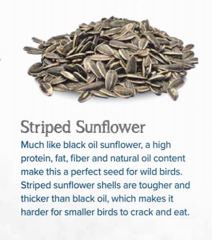 Premium Striped Sunflower Bird Seed - 35 lbs Bulk Bag for Wild Birds, Backyard Feeding, and Bird Watching | Attracts Cardinals, Finches & More
