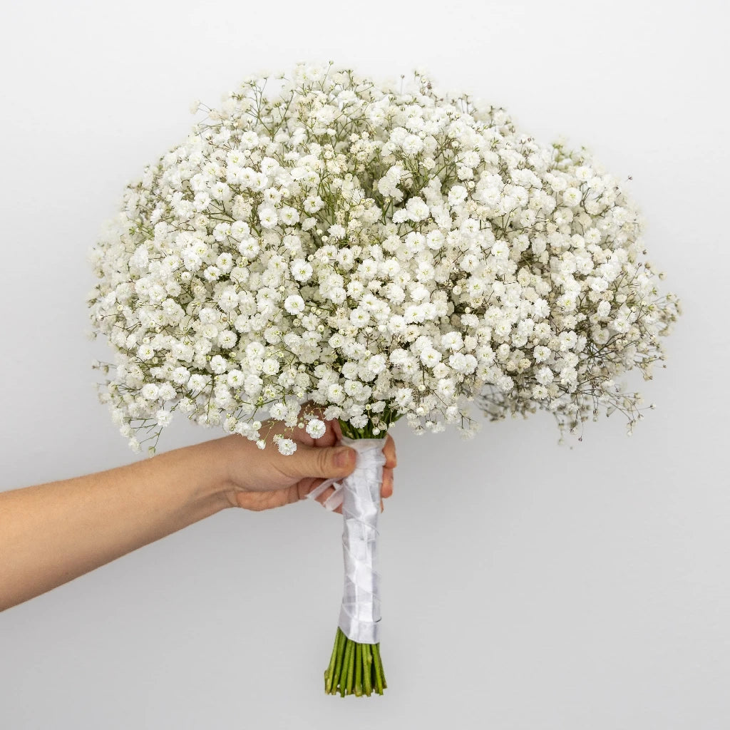 Baby's Breath Wedding Bouquet - Fresh Gypsophila Flowers for Bridal Bouquets, Centerpieces & Wedding Decorations - Perfect for Bridal Showers, Ceremonies & Romantic Events