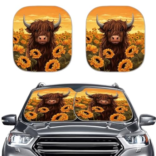 Highland Cow