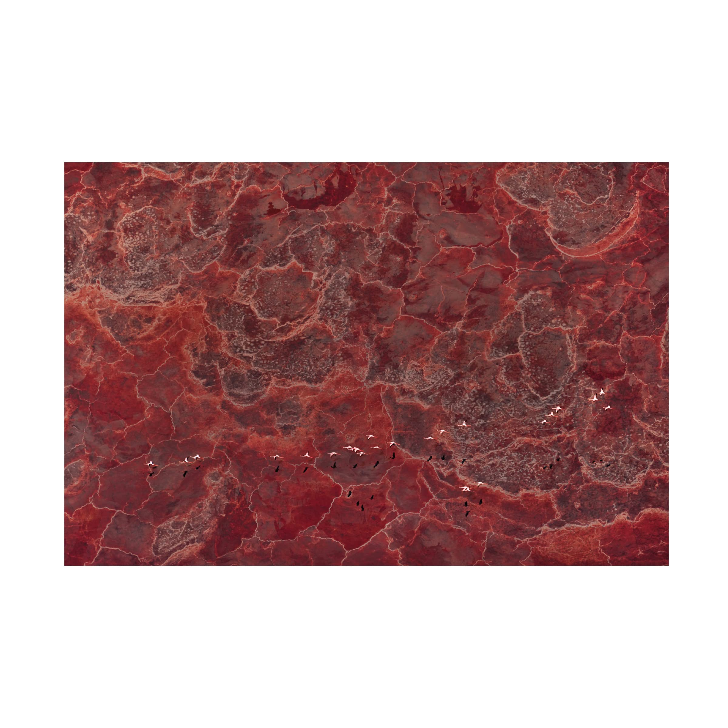Trademark Fine Art 'Africa Palette' Canvas Wall Art by John Fan - Vibrant African-Themed Painting for Living Room, Bedroom & Office Decor