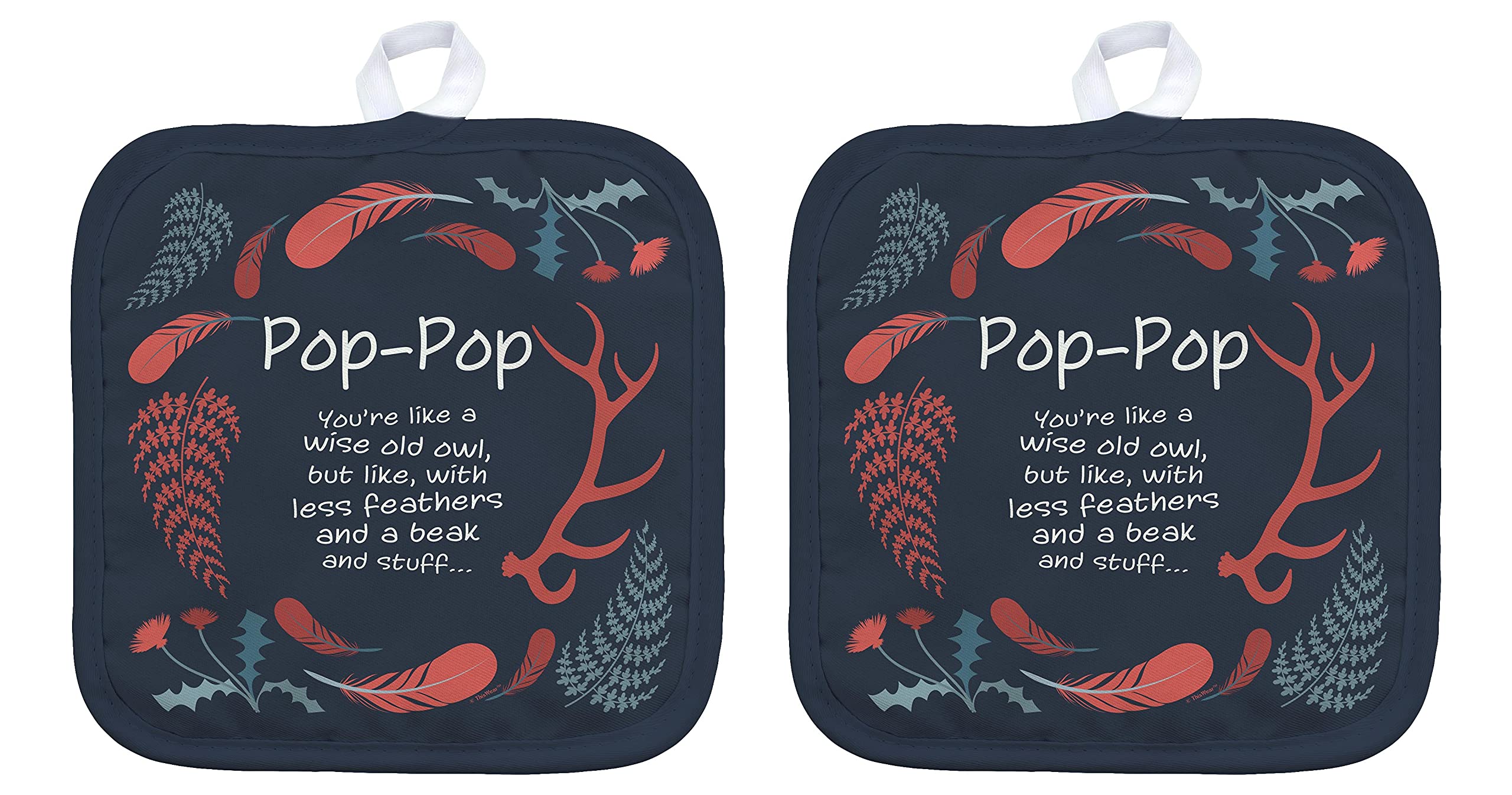 2 Pack Square Pot Holders - Wise Old Owl Design, Perfect Gift for Grandpa (Pop-Pop) - Kitchen Oven Mitts & Hot Pads for Cooking, Baking, Grilling