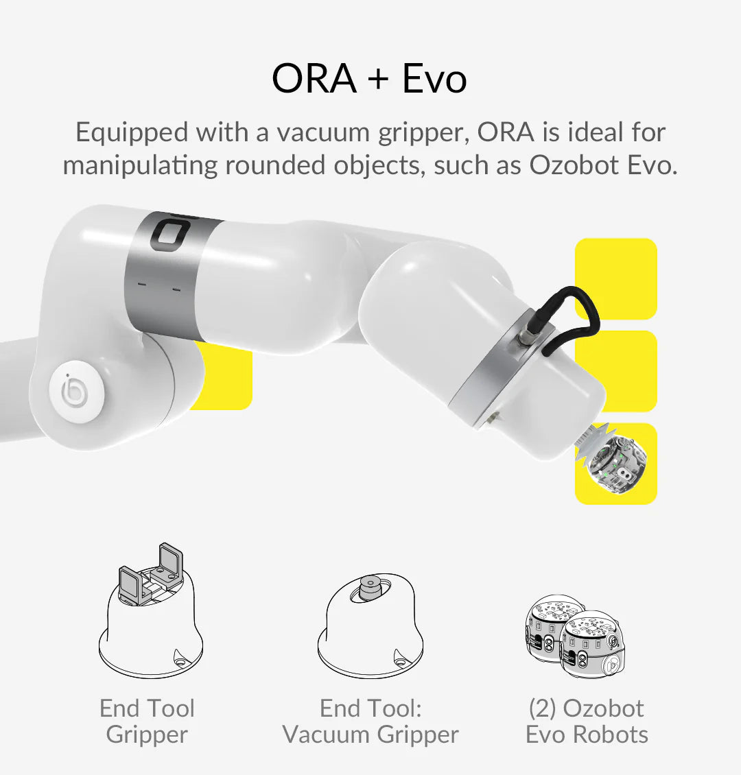Ozobot Robotic Arm Kit - Programmable STEM Robot for Kids | Coding & Engineering Learning Toy | Perfect for Classroom, Home Education & DIY Projects