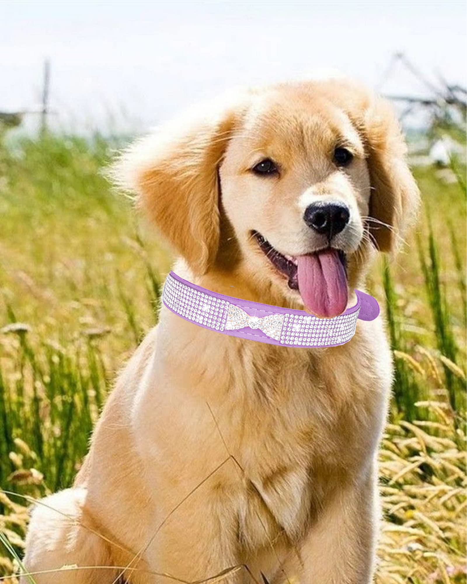 Adjustable Leather Suede Bling Dog Collar with Rhinestones - Pink & Black Small Dog Collar for Puppies & Cats | Perfect for Daily Walks, Pet Grooming & Special Occasions