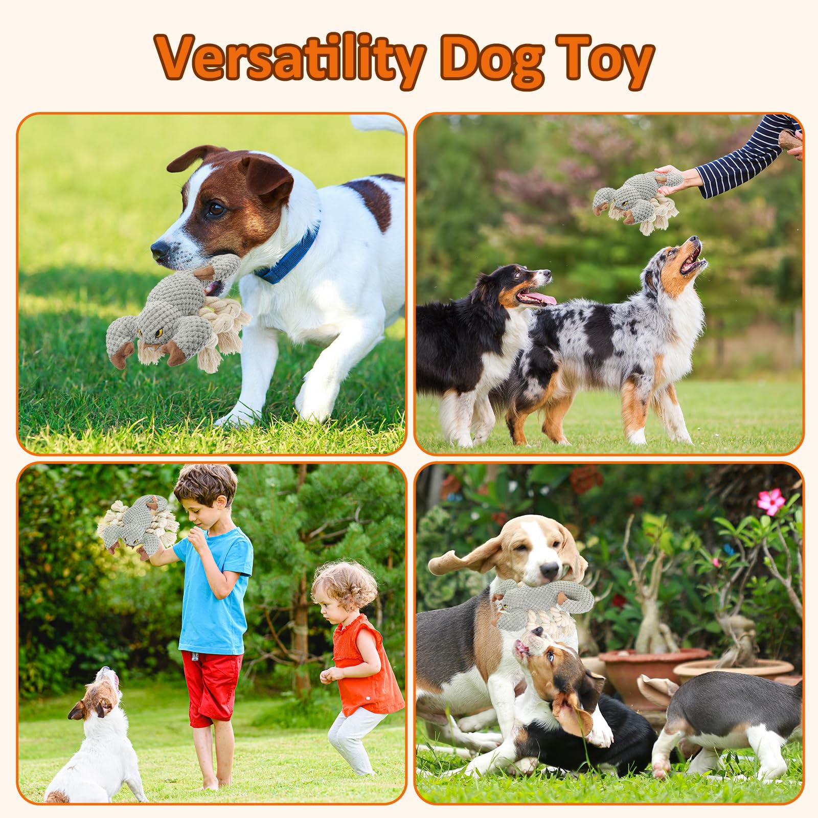 Squeaky Dog Toys for Small, Medium & Large Dogs - Interactive Scorpion Chew Toy to Keep Pets Busy & Entertained | Perfect for Playtime, Training & Teething Relief
