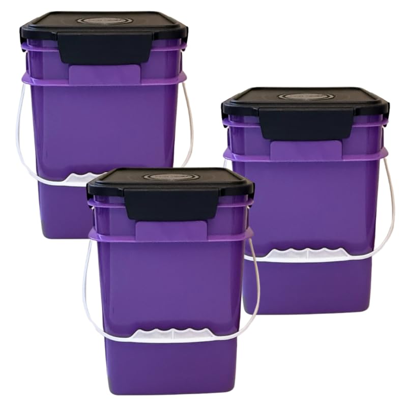 Purple - Black Lids