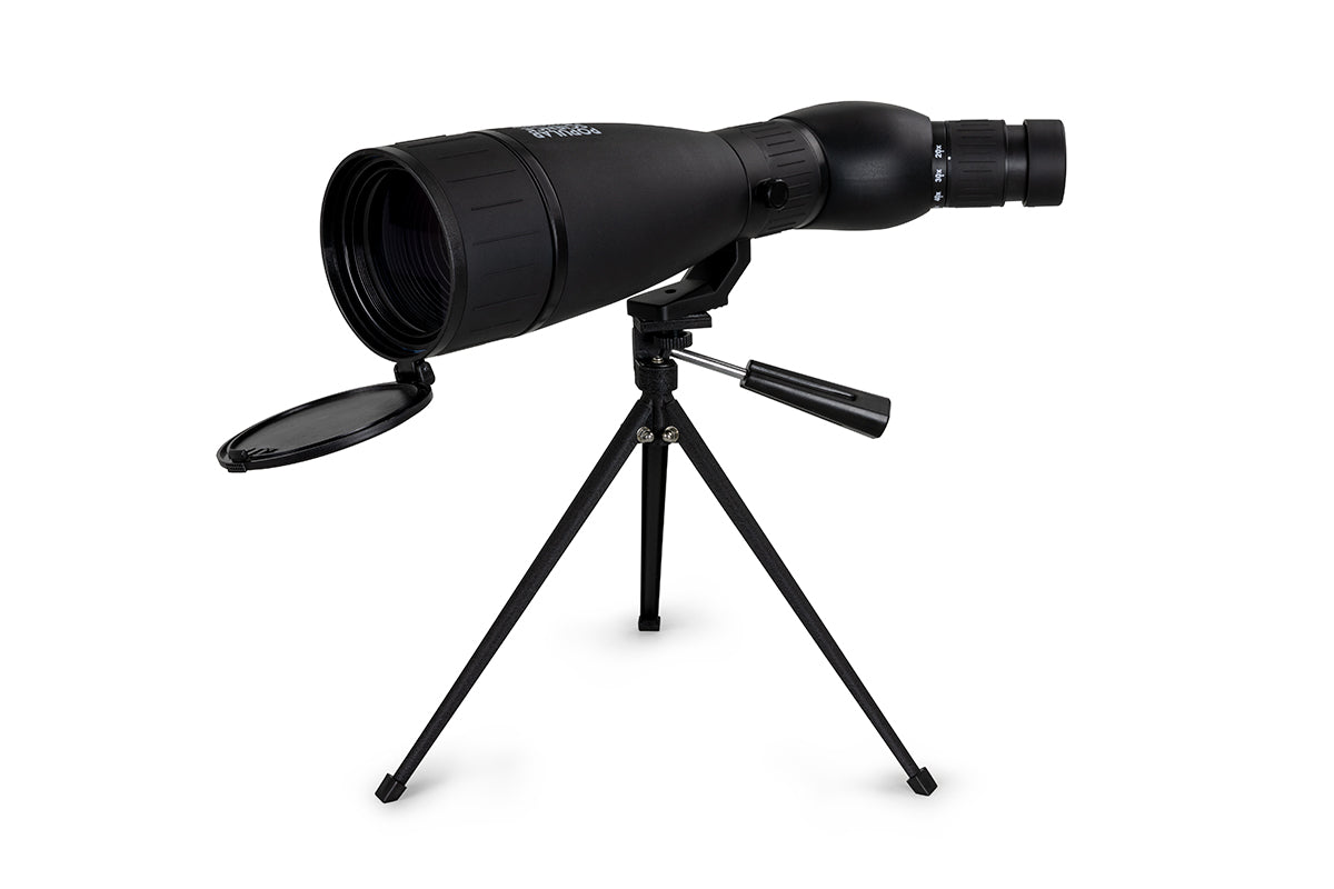 Celestron LandScout 20-60x80mm Angled Zoom Spotting Scope with Smartphone Adapter & Bluetooth Remote - High-Powered Telescope for Bird Watching, Hunting, and Outdoor Observation - Perfect for Wildlife Enthusiasts and Nature Explorers