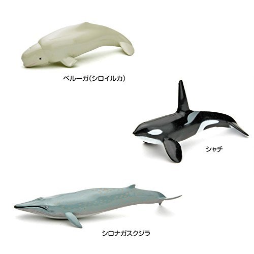 Authentic Marine Mammal Figurine Set - Lifelike Dolphin, Whale & Seal Collectibles for Kids & Adults | Perfect for Educational Play, Ocean-Themed Decor & Gift Giving