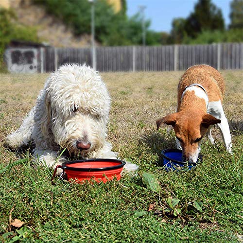 Foldable Collapsible Silicone Pet Travel Bowl for Dogs & Cats - 350ml Portable Water Food Dish with Carabiner Clip (Green) - Perfect for Hiking, Camping & Outdoor Adventures