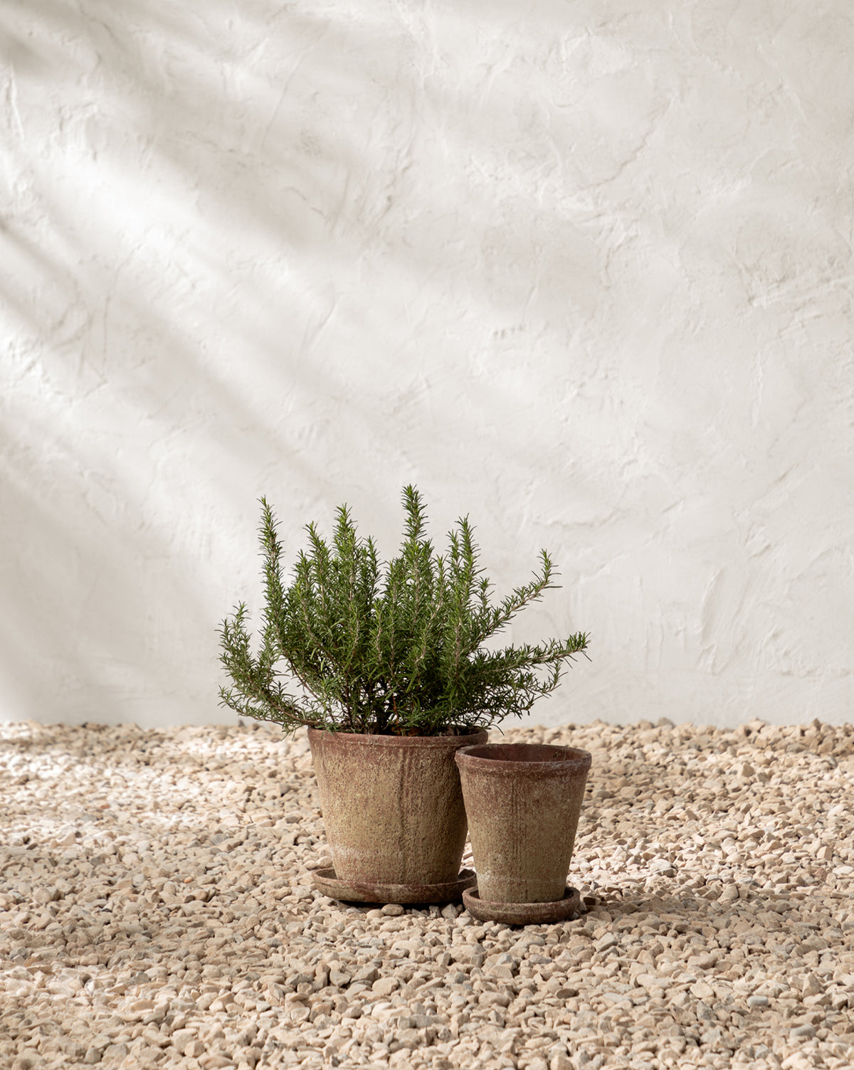 Oksana Distressed Cement Planter - Modern Indoor/Outdoor Flower Pot for Home Decor, Succulents & Plants | Perfect for Living Room, Patio, Garden & Office Decor