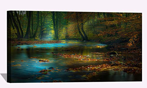 River Sunbeam Autumn