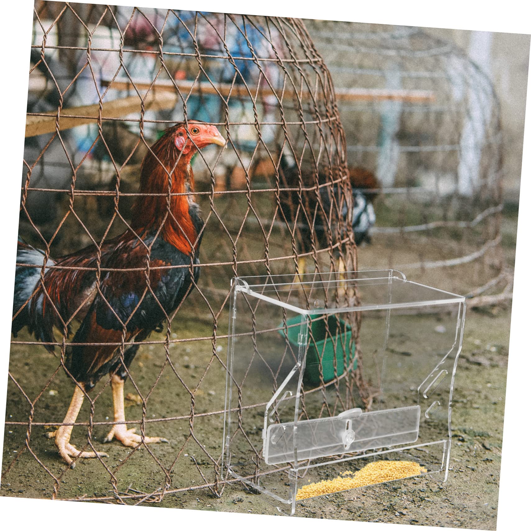 Automatic Chicken Feeder & Hanging Bird Feeder for Parrots - Durable Bird Cage Accessories, Food Storage Container for Birds - Perfect for Aviaries, Pet Cages & Outdoor Bird Feeding Stations