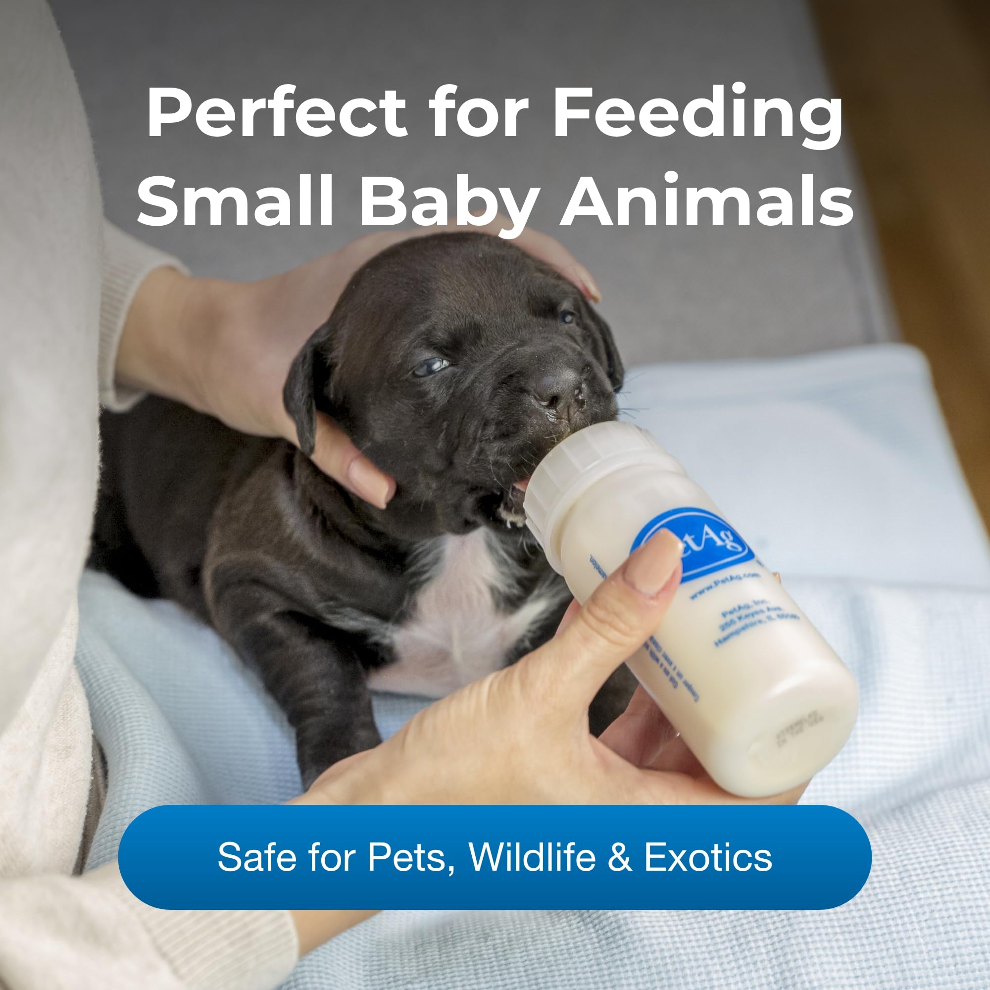 PetAg Nursing Kit 2oz (2-Pack) - Natural Feeding for Baby Animals - Home & Vet Use