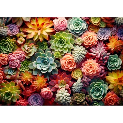 Succulent B