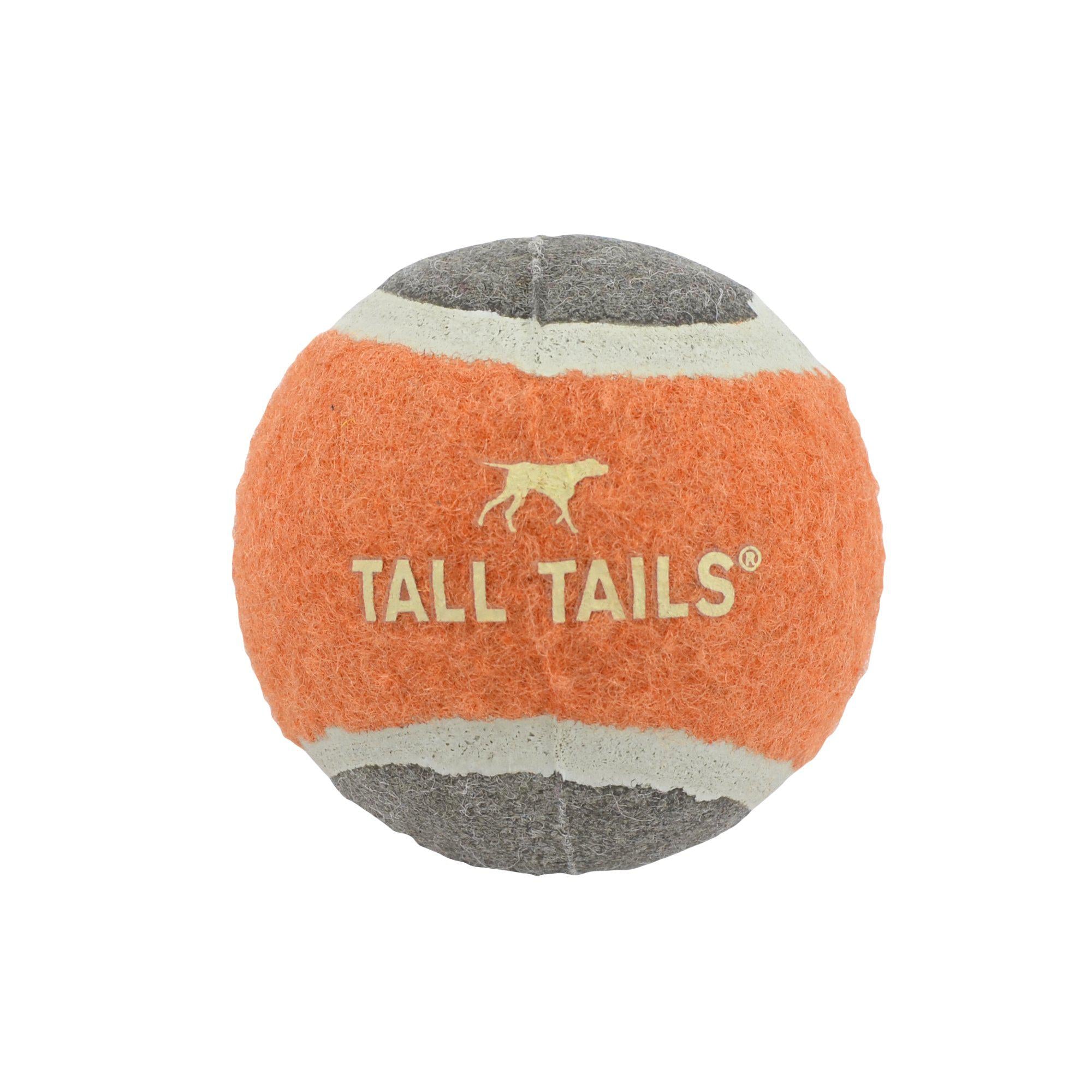 Premium Medium Fetch Ball 2.5