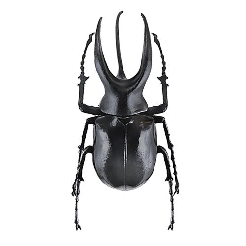 Insect Hunter Beetle X Stag Beetle Action Figure - 3 Inch Mini Collectible Toy for Kids | Bug Lover Gift, Science Education & Nature Exploration Play