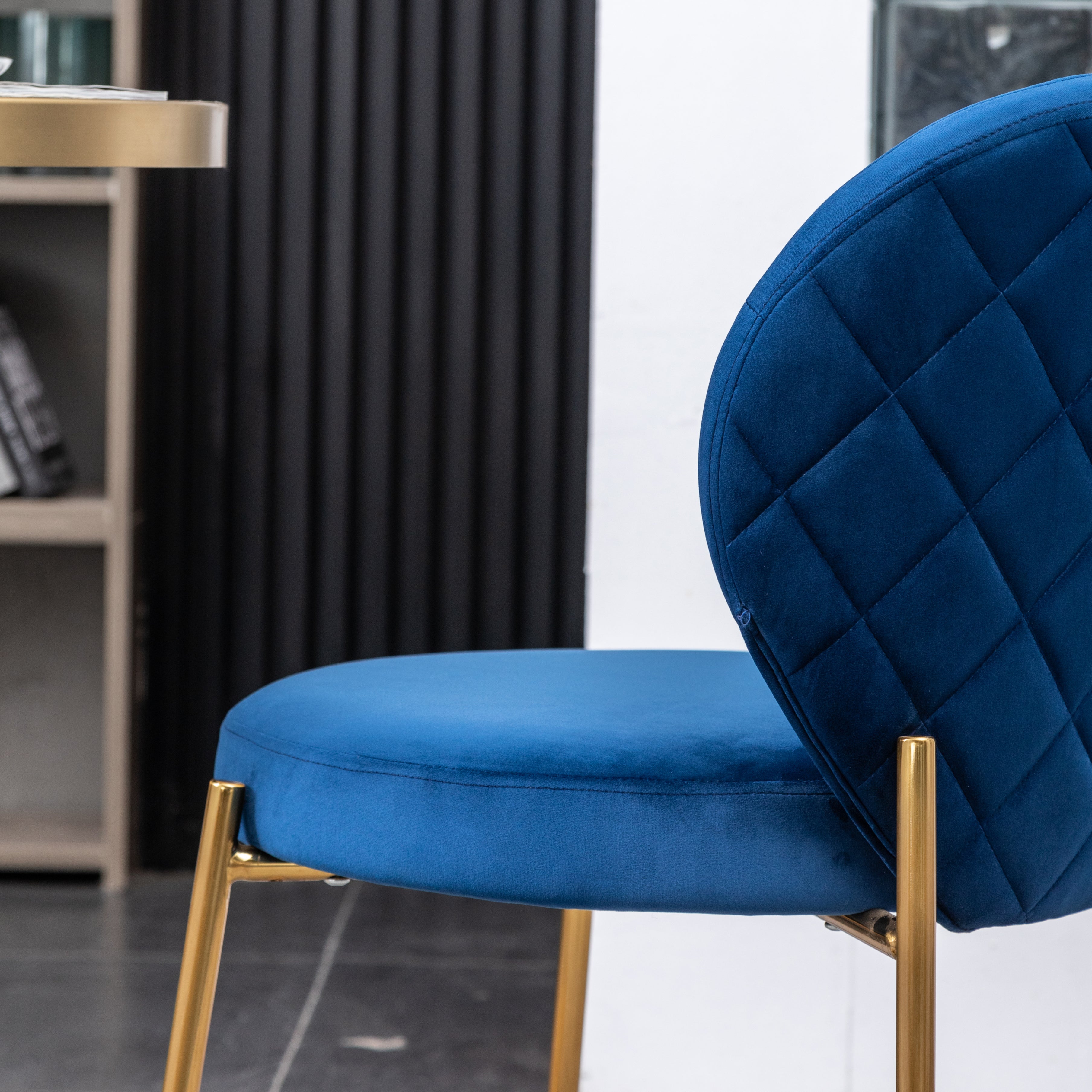 Roundhill Furniture Amoa Contemporary Velvet Upholstered Dining Chairs Set of 2 - Modern Kitchen & Dining Room Seating for Home & Restaurant