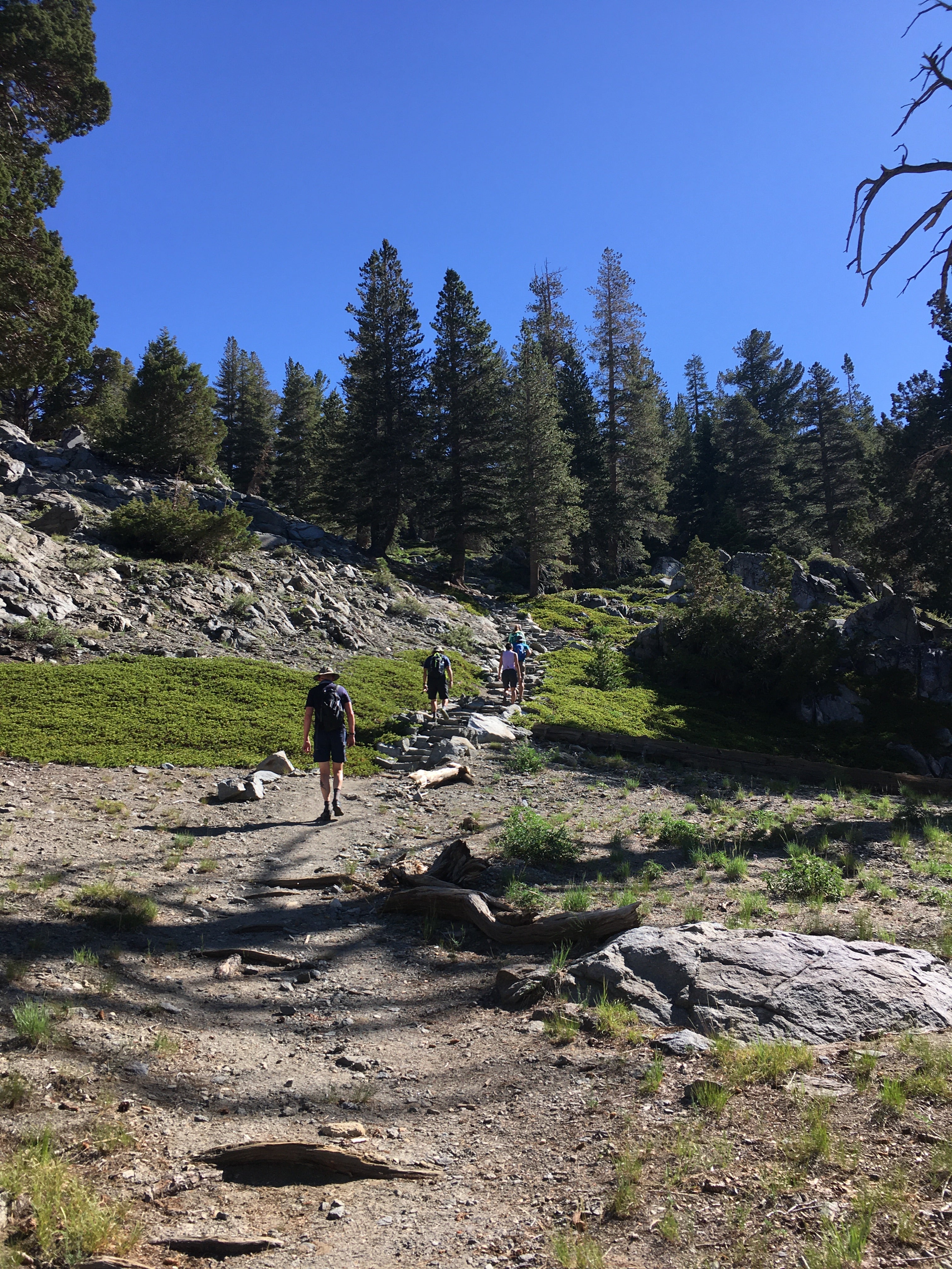 Best Backpacking Gear for Yosemite's Ten Lakes Trail - Lightweight Hiking Equipment for Outdoor Adventures | Perfect for Camping, Trekking & Wilderness Exploration