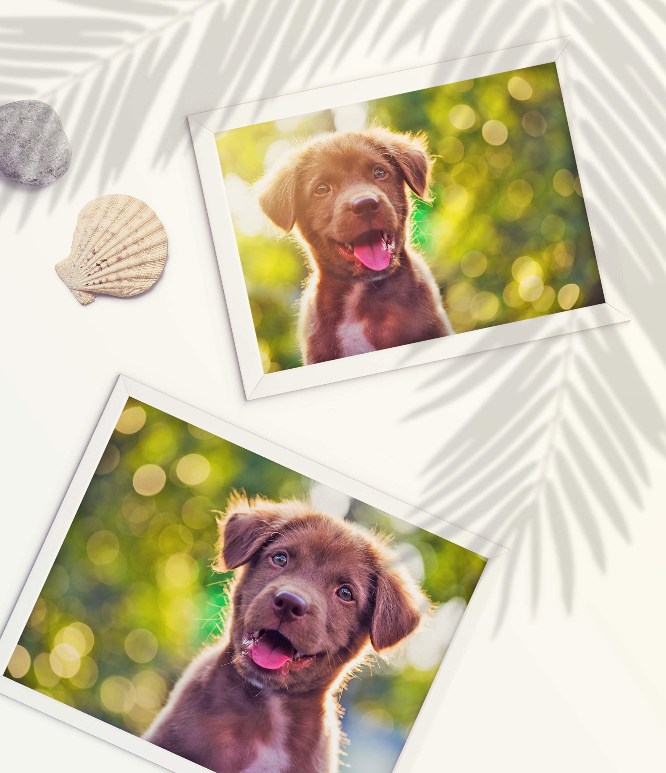 11x17 50 Sheets 100% Cotton Fine Art 12mil Archival Paper - Premium Inkjet Printer Paper for Photography, Art Prints & Professional Use - Ideal for Giclée Printing, Watercolor Art & Photo Reproduction
